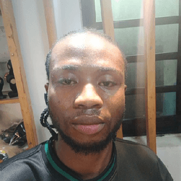 Emmanuel Ifeanyi Opara